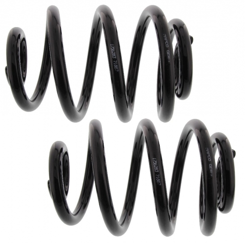 MAPCO 71887/2 Suspension Kit, coil springs