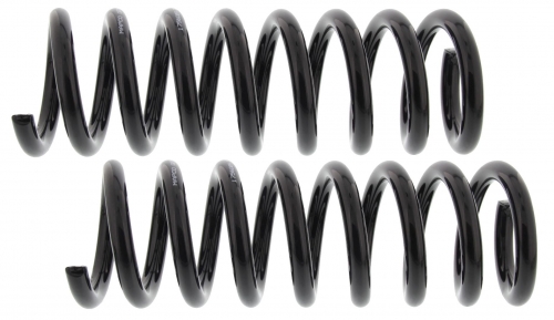 MAPCO 72844/2 Suspension Kit, coil springs