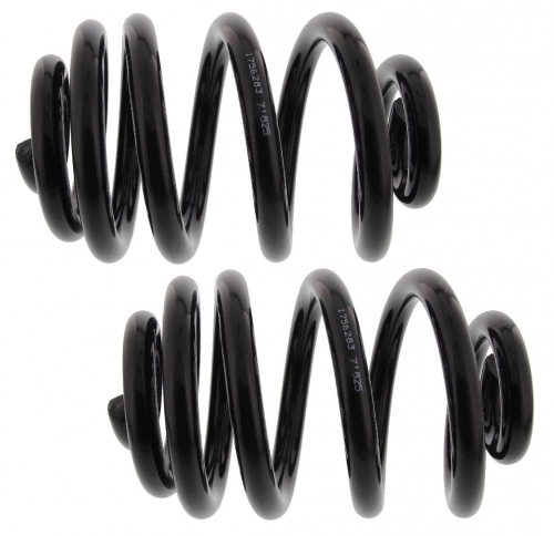 MAPCO 71825/2 Suspension Kit, coil springs