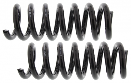 MAPCO 72835/2 Suspension Kit, coil springs