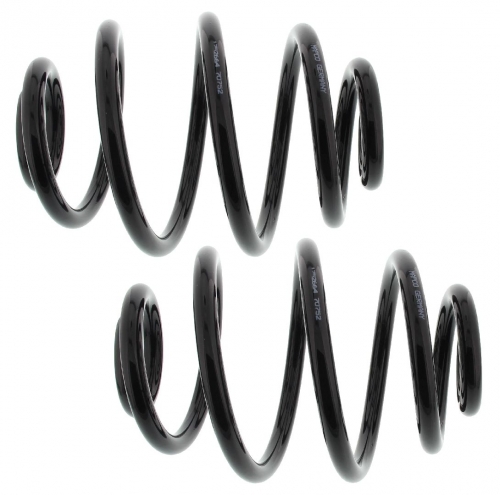 MAPCO 70752/2 Suspension Kit, coil springs