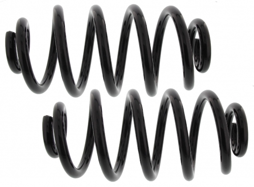 MAPCO 71819/2 Suspension Kit, coil springs