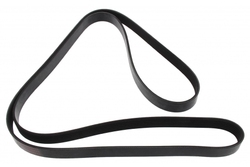 MAPCO 261973 V-Ribbed Belt