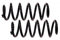 MAPCO 71813/2 Suspension Kit, coil springs