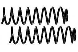 MAPCO 70817/2 Suspension Kit, coil springs