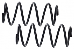 MAPCO 70129/2 Suspension Kit, coil springs