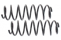 MAPCO 71909/2 Suspension Kit, coil springs