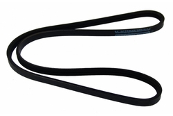 MAPCO 231000 V-Ribbed Belt