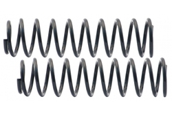 MAPCO 70556/2 Suspension Kit, coil springs