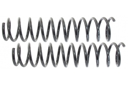 MAPCO 71913/2 Suspension Kit, coil springs