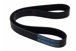 MAPCO 260735 V-Ribbed Belt