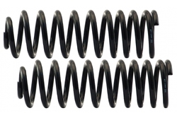 MAPCO 71891/2 Suspension Kit, coil springs