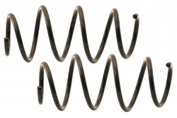 MAPCO 70417/2 Suspension Kit, coil springs