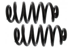 MAPCO 72895/2 Suspension Kit, coil springs