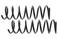 MAPCO 70550/2 Suspension Kit, coil springs