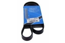 MAPCO 251065 V-Ribbed Belt