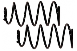 MAPCO 71869/2 Suspension Kit, coil springs