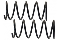 MAPCO 70555/2 Suspension Kit, coil springs