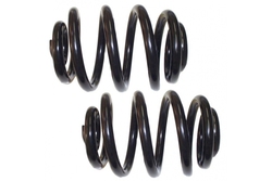 MAPCO 71823/2 Suspension Kit, coil springs