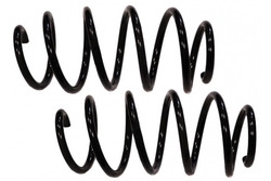 MAPCO 71806/2 Suspension Kit, coil springs