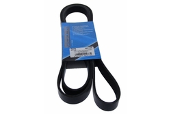 MAPCO 262145 V-Ribbed Belt