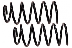 MAPCO 71873/2 Suspension Kit, coil springs